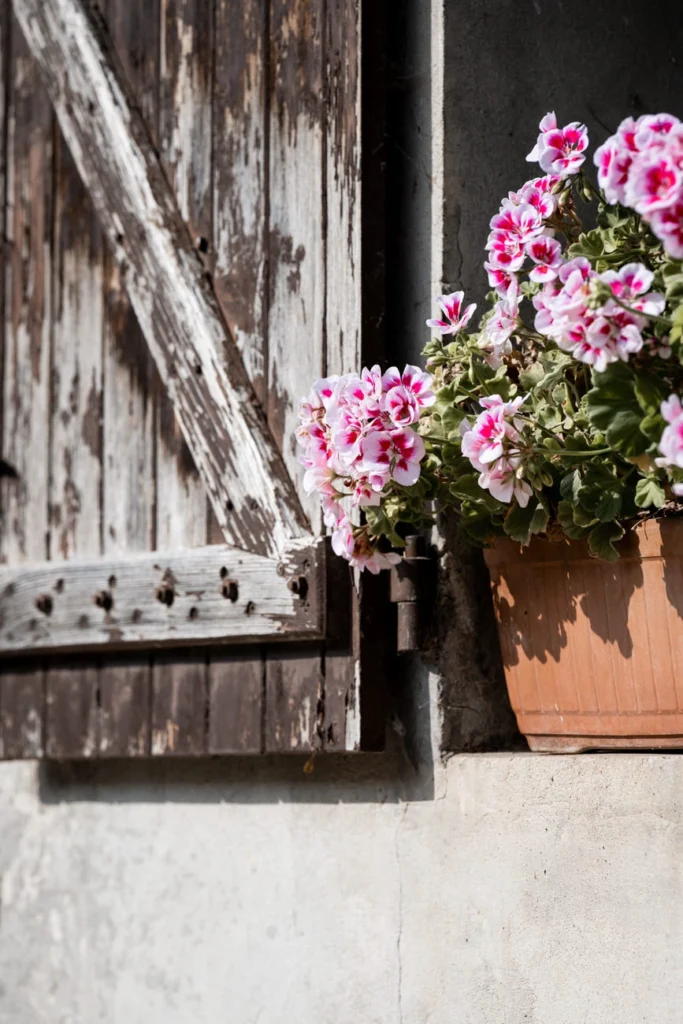 photographe-mariage-luxe-studio-zangarelli-photographie-mariage-jerome-et-lucile-l'amour-est-dans-le-pre