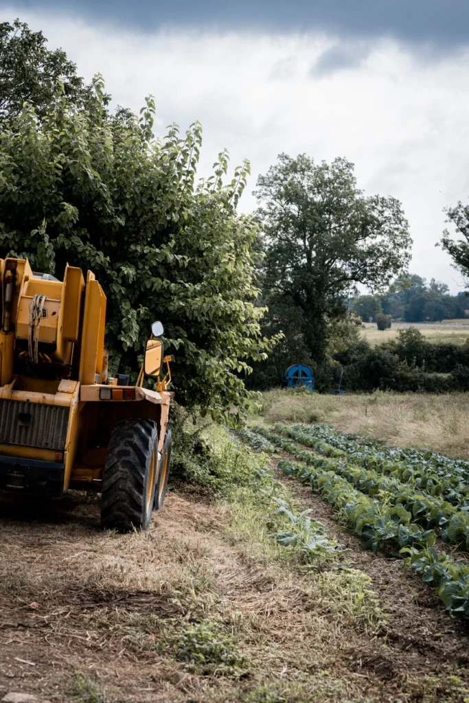 photographe-mariage-luxe-studio-zangarelli-photographie-mariage-jerome-et-lucile-l'amour-est-dans-le-pré-décorationHD-43